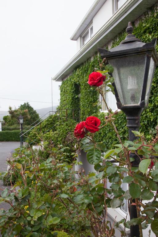 San Antoine B&B Cahersiveen Exterior photo